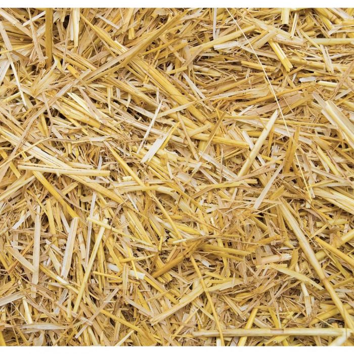 Hay and Straw