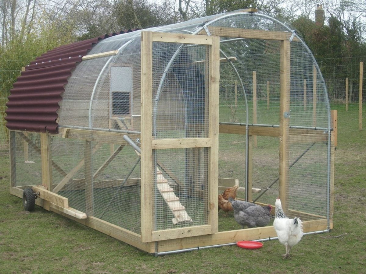 15 Large Chicken Coop Plans Ideas to Build Your Own! Organize With Sandy