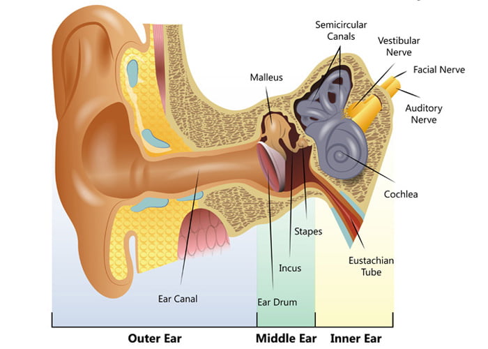 How Does the Hearing Work?