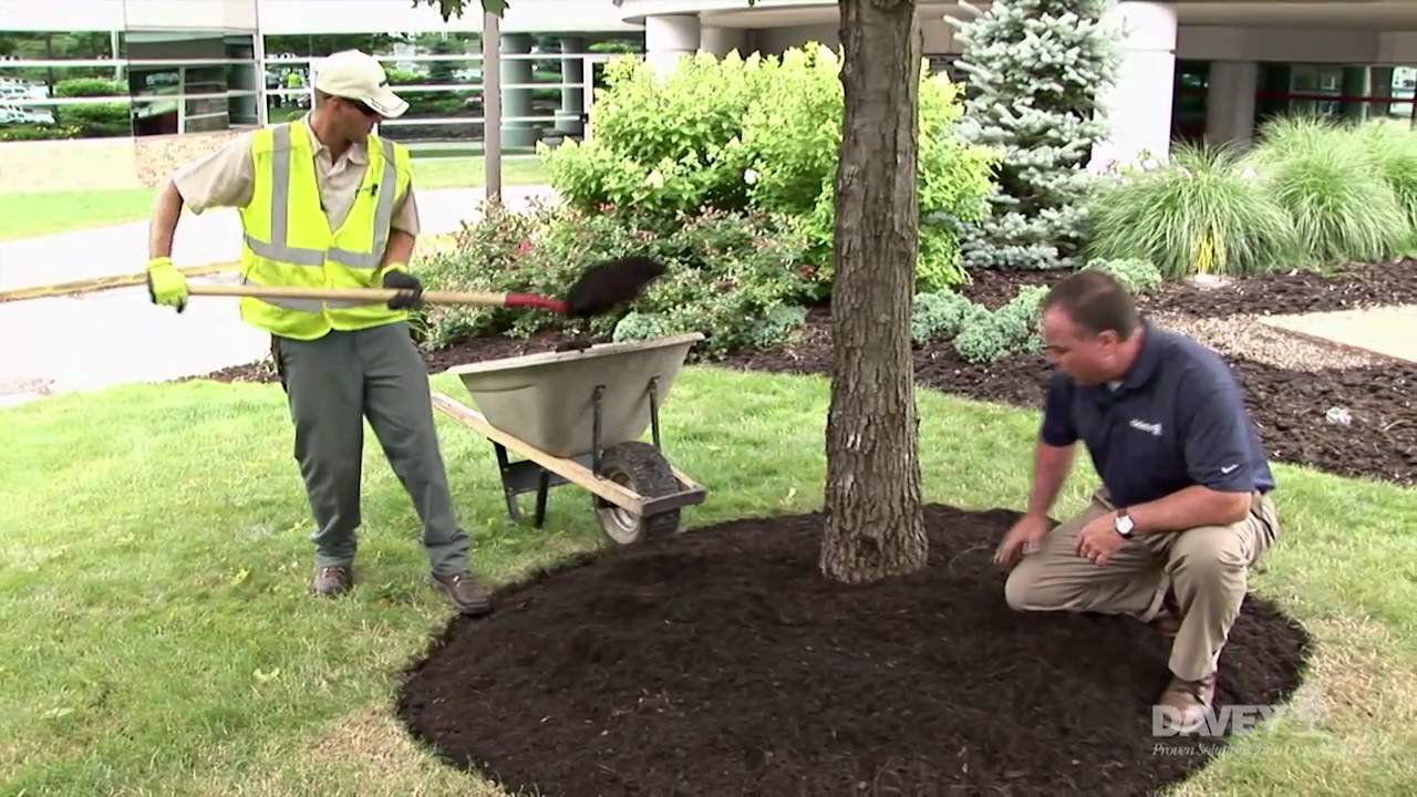 How Should Mulching Be Done