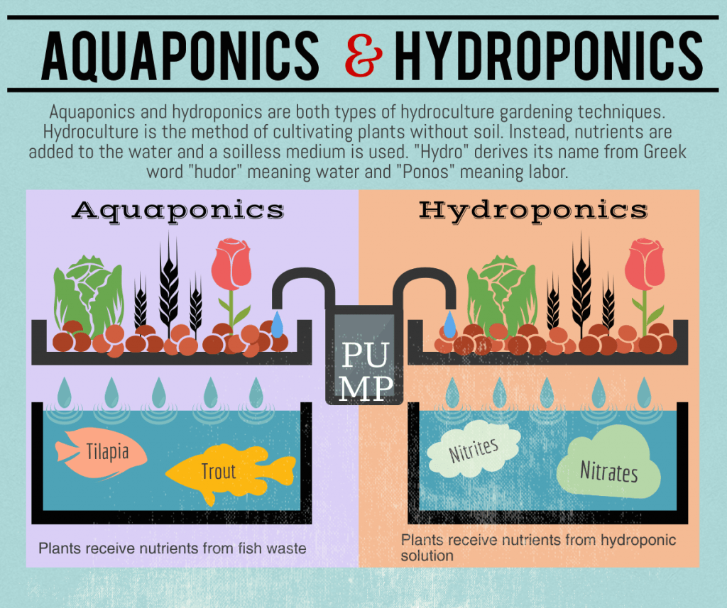Hydroponics and Aquaponics