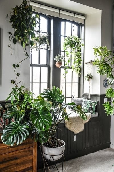 Loaded Window Indoor Garden