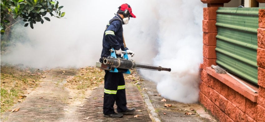 Man Using Mosquito Frogger