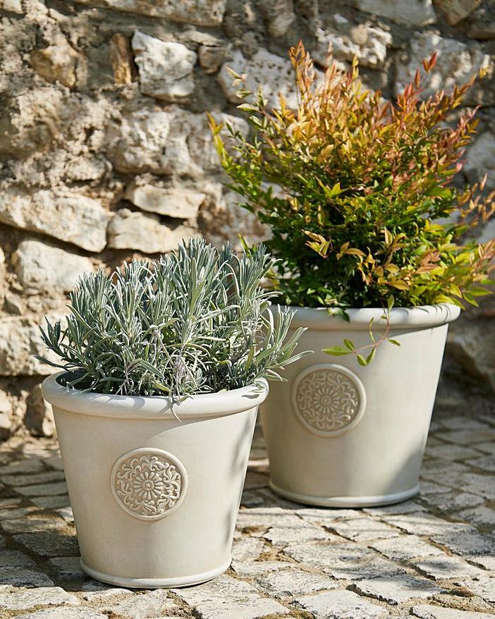 New Pots or Containers