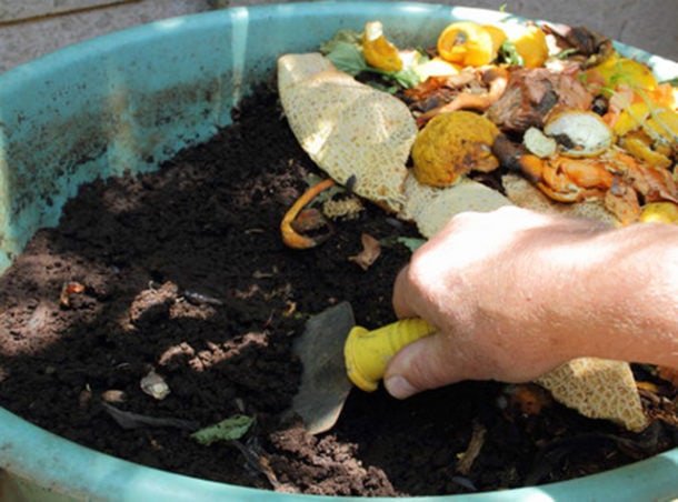 Organic Potting Soil