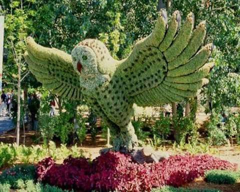 Owl Topiary