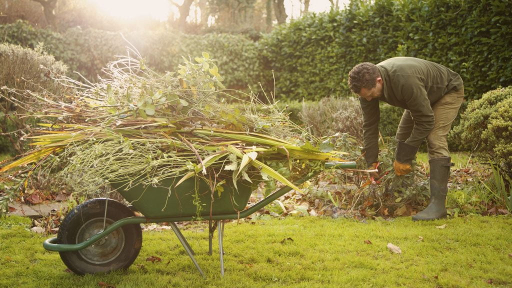 Plastic Vs Steel Wheelbarrows Which One to Choose? Organize With Sandy