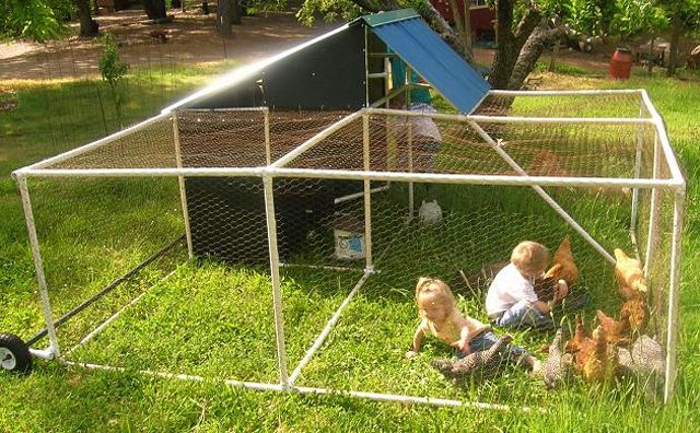 Portable Poultry Pen