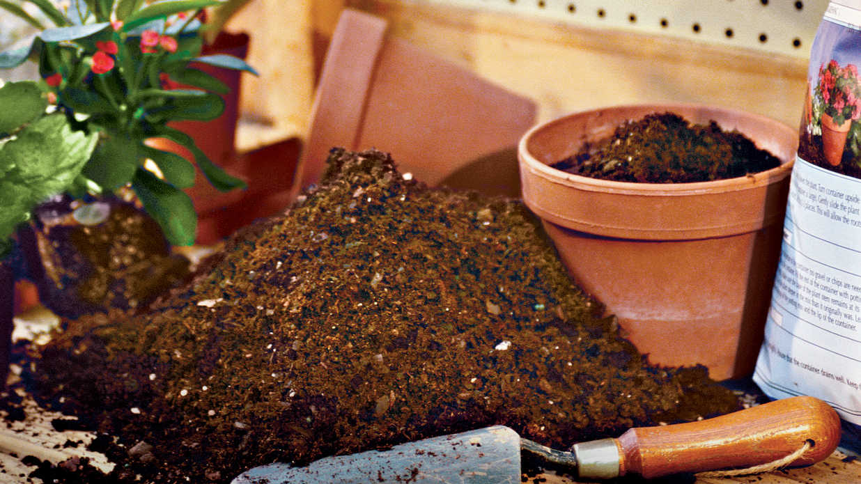 Organic Vs Potting Soil Organize With Sandy