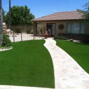 Real vs. Artificial Turf! The Battle of Gardens!