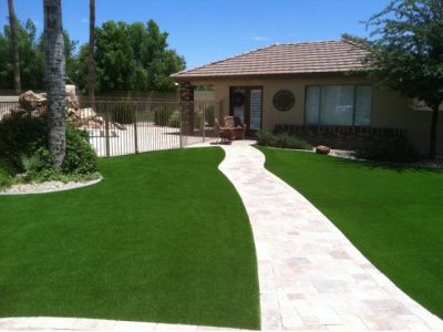 Real vs. Artificial Turf! The Battle of Gardens!