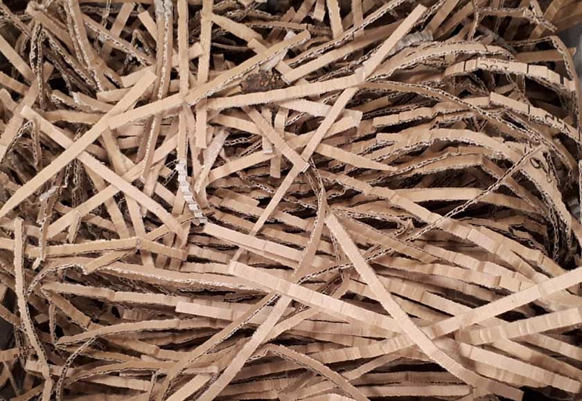 Shredded Cardboard