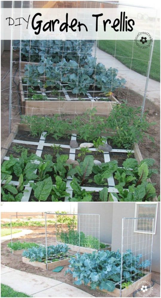 Simple DIY Squash and Melon Trellis