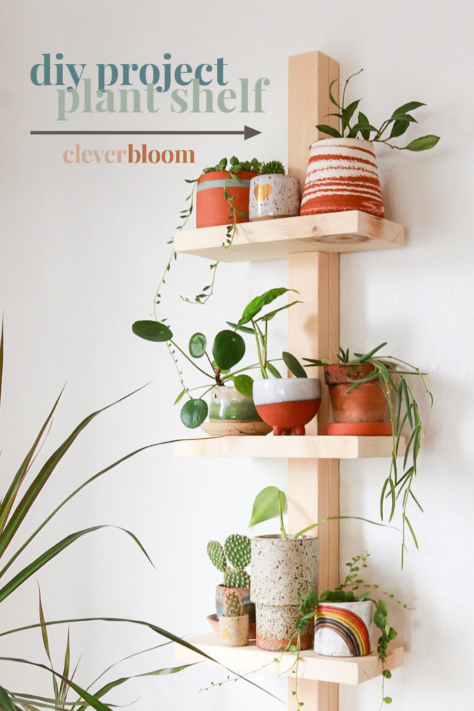 Simple Plant Shelves