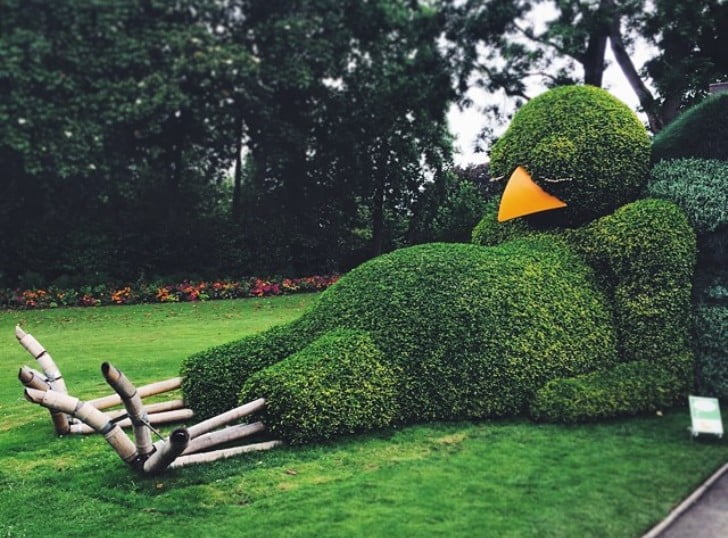 Sleeping Bird