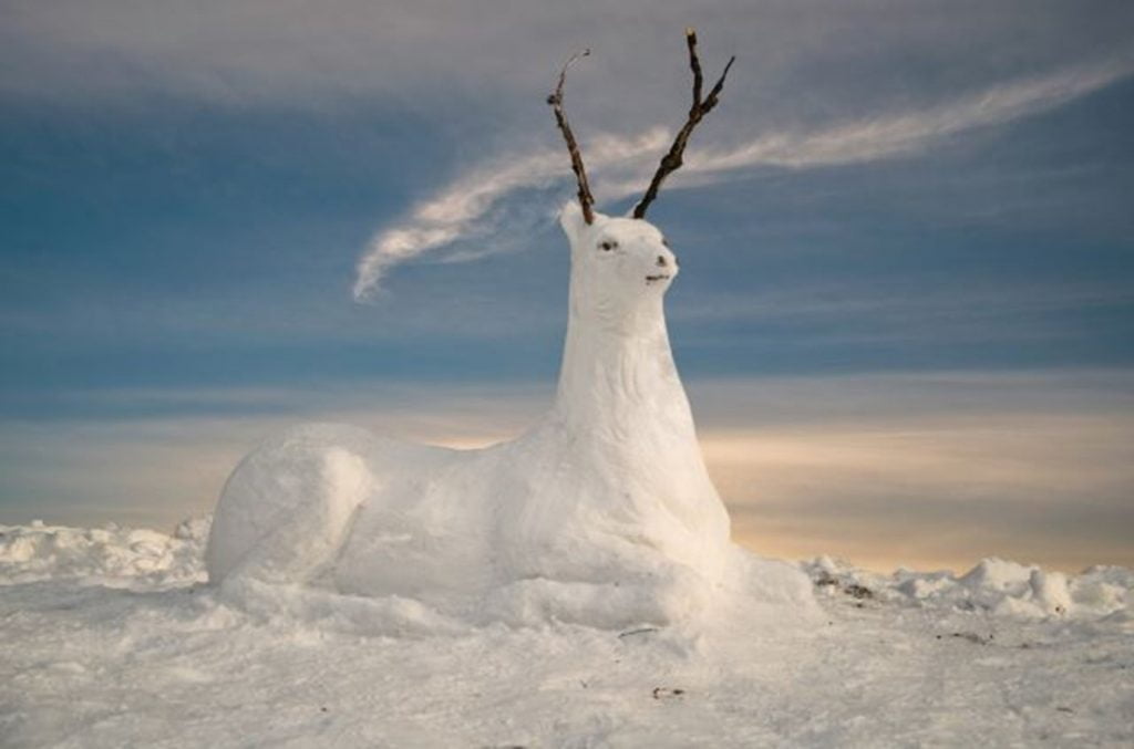 Snow Deer