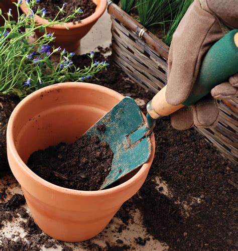 Soil in a Pot