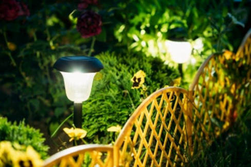 Solar Light in Garden