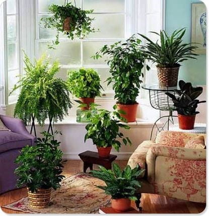 15 Adorable Indoor Garden Ideas You Should Apply - Organize With Sandy