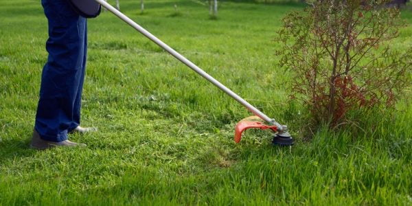 Straight vs Curved Shaft Weed Trimmers - Organize With Sandy