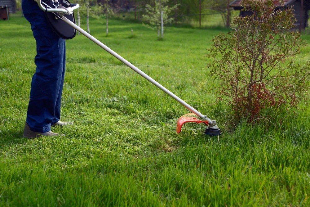 Straight vs Curved Shaft Weed Trimmers Organize With Sandy