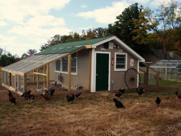 15 Large Chicken Coop Plans Ideas To Build Your Own Organize With Sandy 