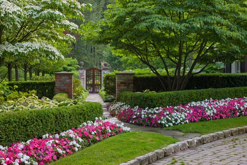 Traditional Flower Hedges 