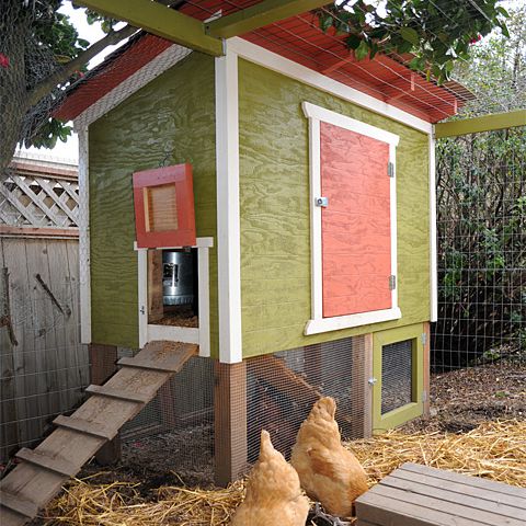 Urban Chicken Coop Plan