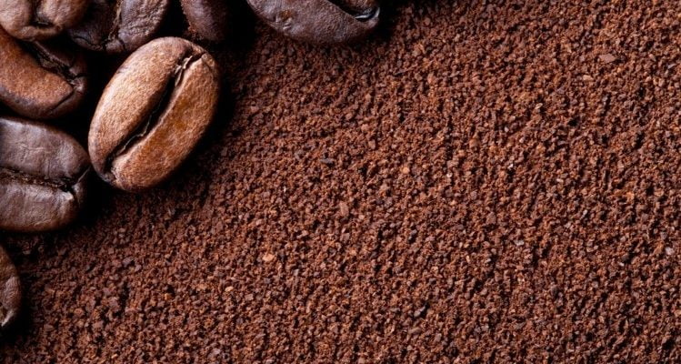 Uses and Importance of Coffee Grounds for Plants in Gardening 