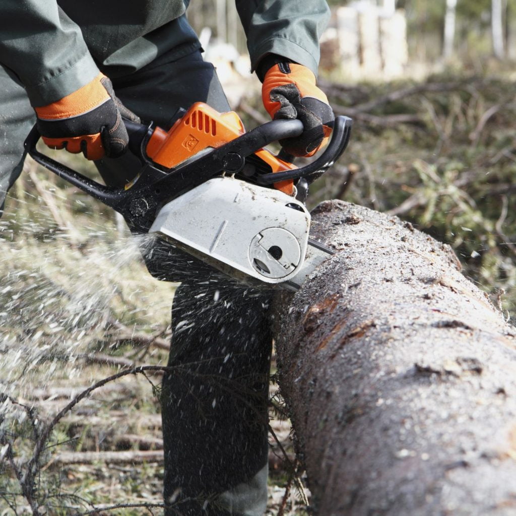 Using Chainsaw on a Log