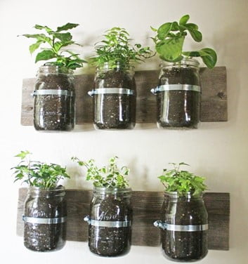 Using Recyclable Pots