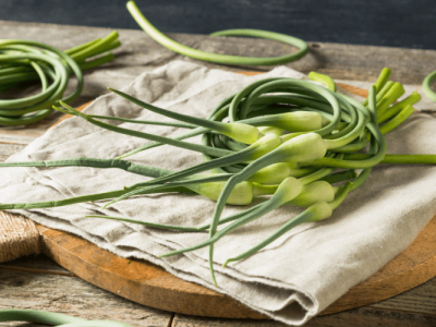 What are Garlic Scapes and What Can You Do with Them?