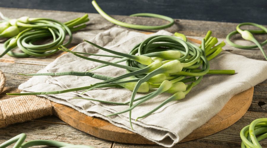 What are Garlic Scapes and What Can You Do with Them? Organize With Sandy