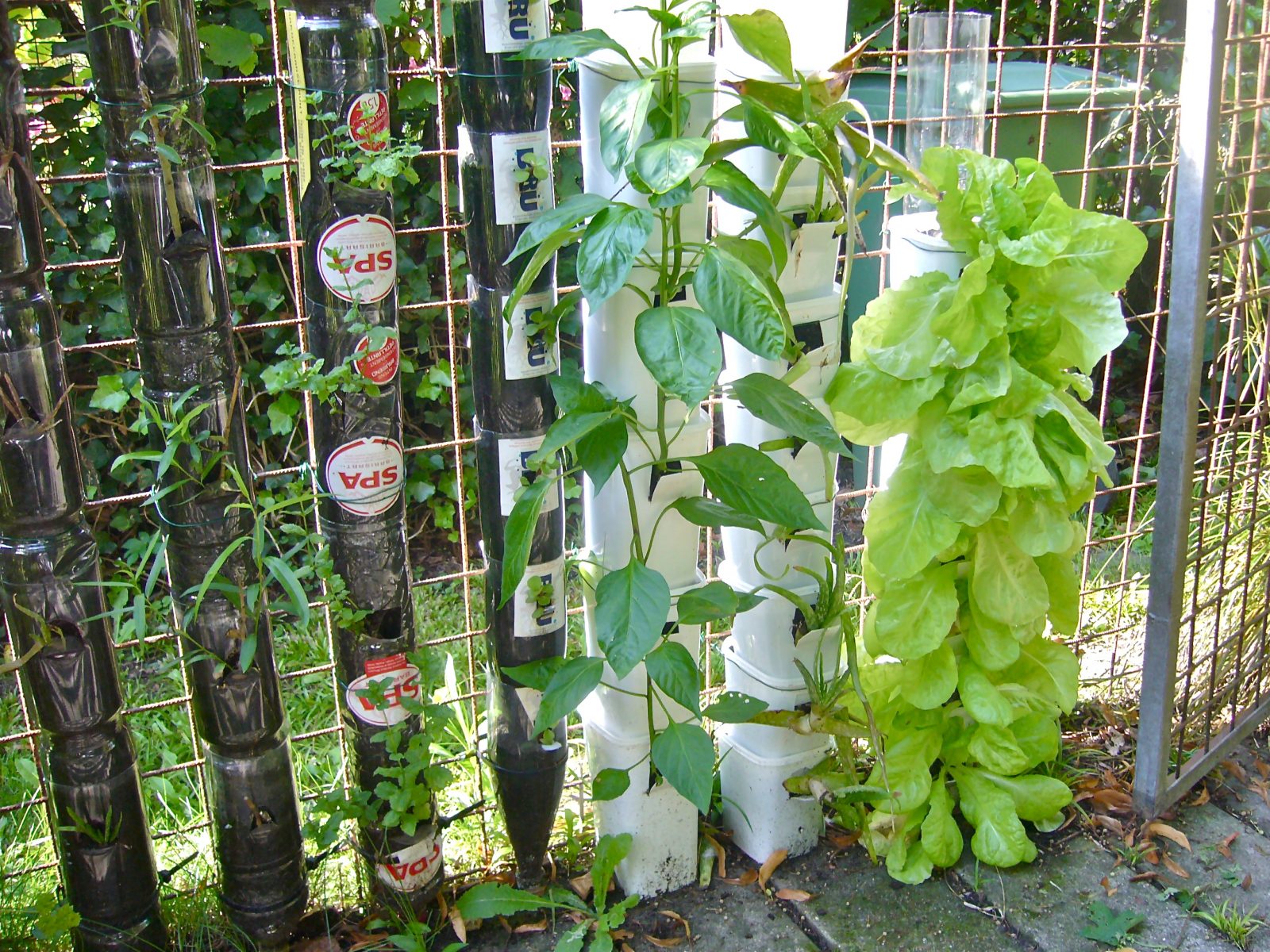 how-to-make-a-bottle-tower-garden-organize-with-sandy