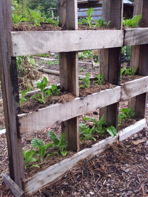 Wooden Vertical Planter