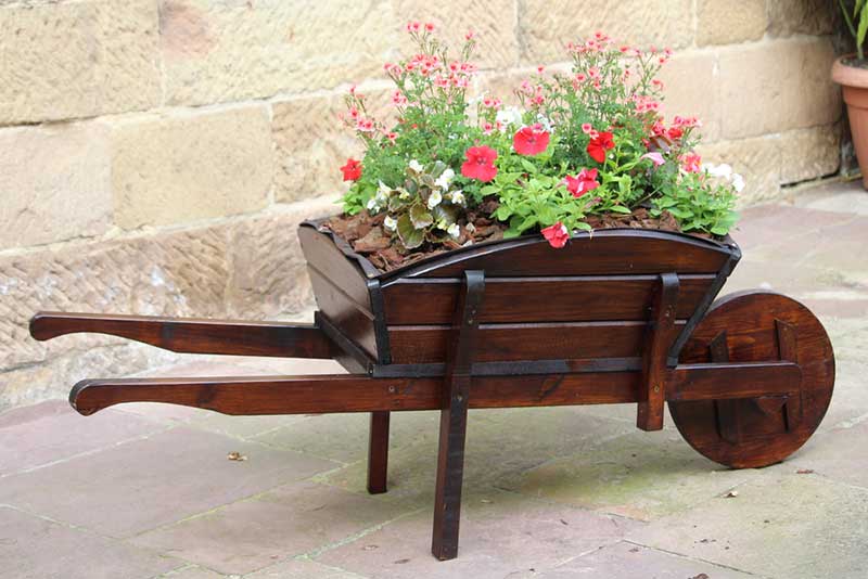 A Mahogany Wheelbarrow Planter for A Patio