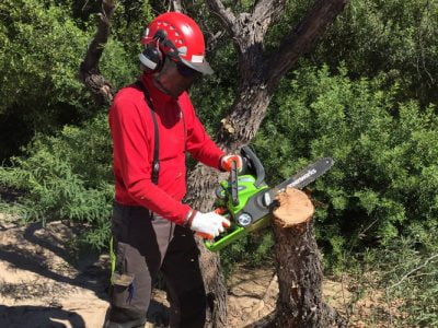 Greenworks 40V Chainsaw Review!
