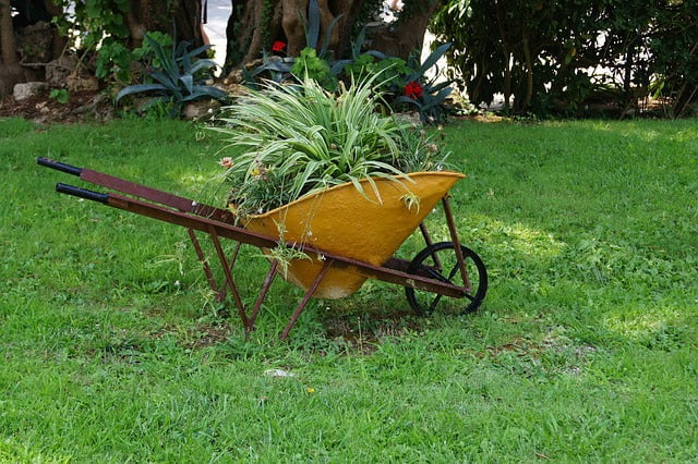 Planted Old Wheelbarrow Planter