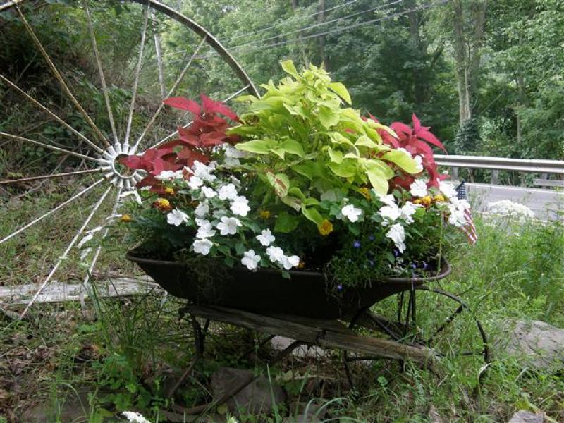Wheel, Spokes, And Plants with White Blooms