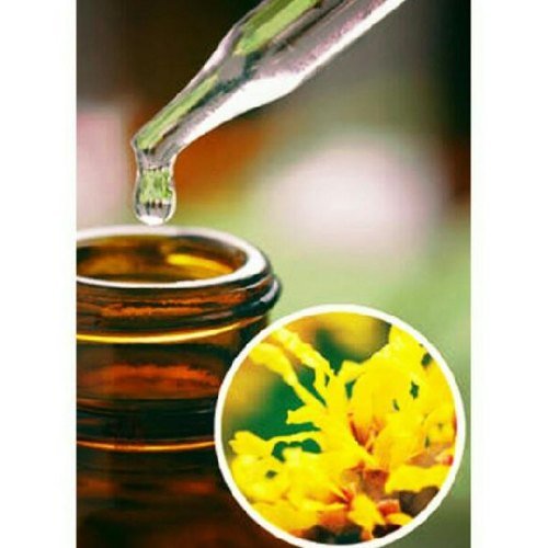 Witch Hazel Extract at Rs 1550/litre | नैचुरल हर्बल एक्सट्रैक्ट, नेचुरल  हर्बल एक्सट्रैक्ट, प्राकृतिक जड़ी बोटियों का अर्क - Aarnav Global Exports,  Sahibabad | ID: 21209697055