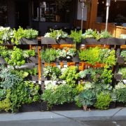 A pallet fence that integrates flower and succulent planters_Homeselfe