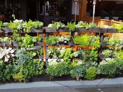 A pallet fence that integrates flower and succulent planters_Homeselfe