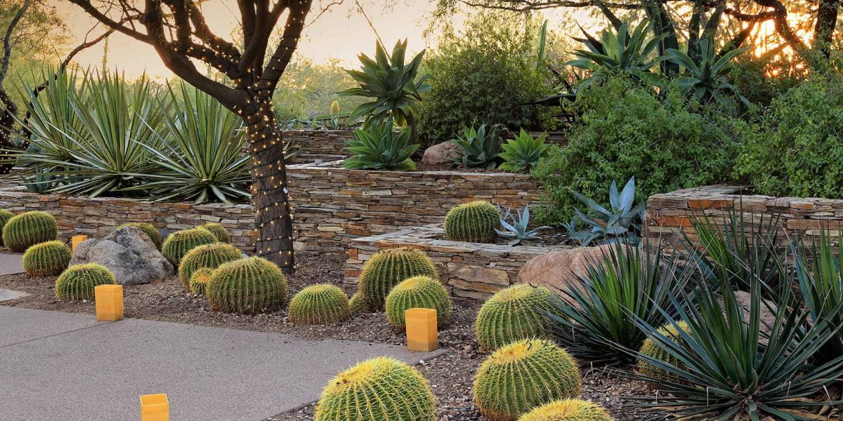 5 Simple Steps To Prepare For Desert Landscaping - Organize With Sandy