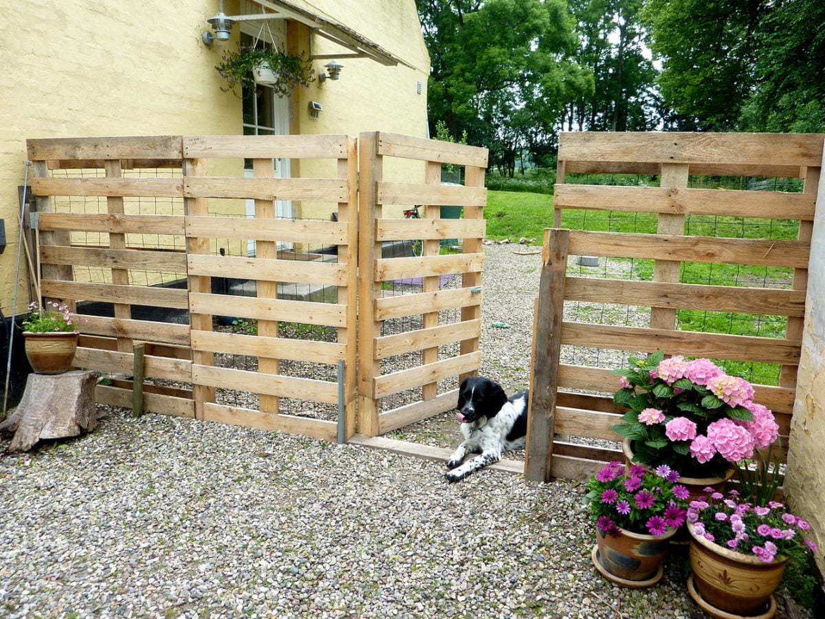 how-to-build-a-pallet-fence-easy-step-by-step-guide-organize-with-sandy