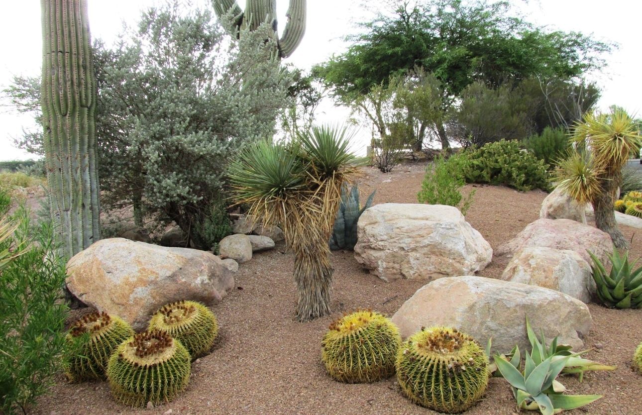  The use of boulders in a desert landscape_Pinterest