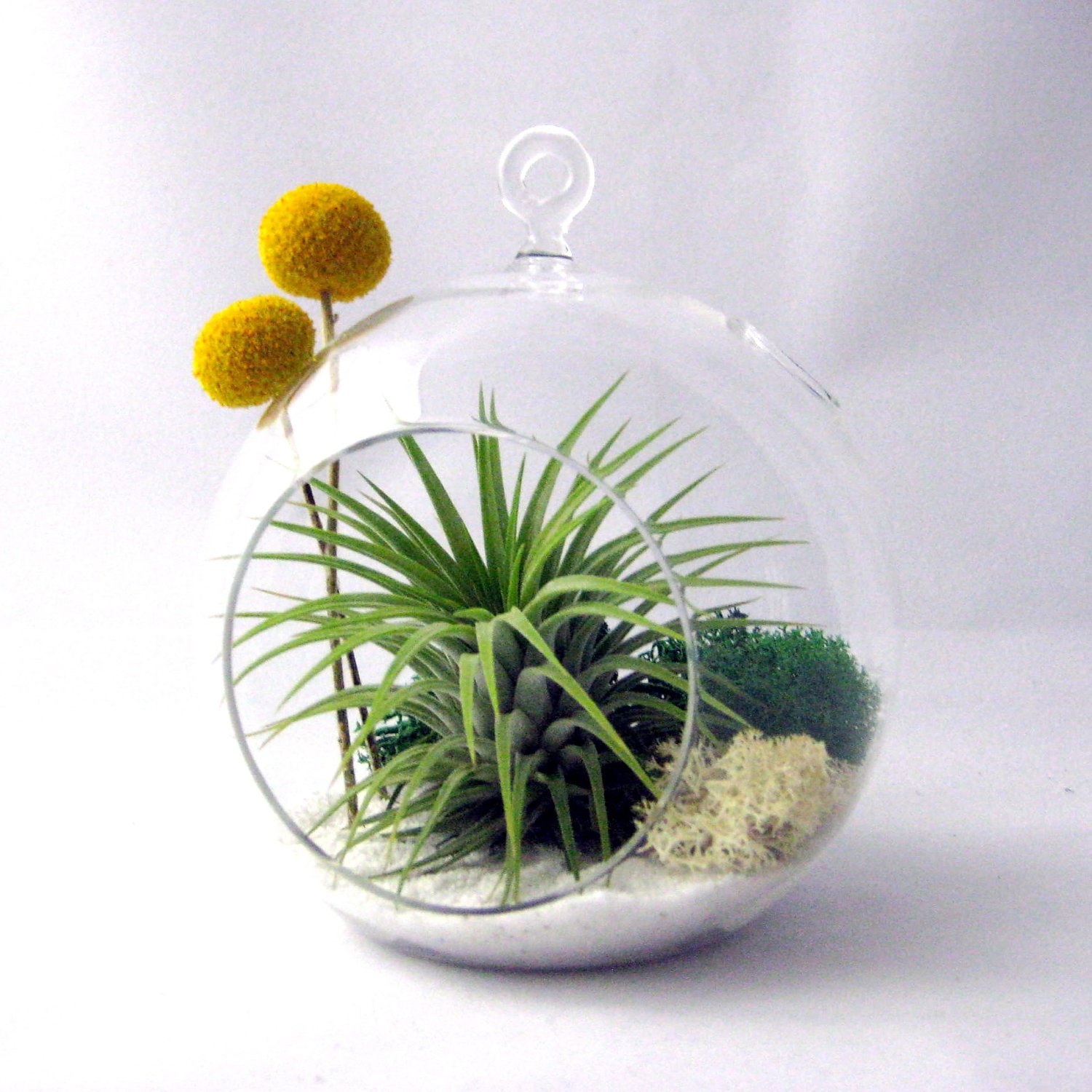 An example of a decorated terrarium adding splashes of yellow against minimalist white_Style Motivation