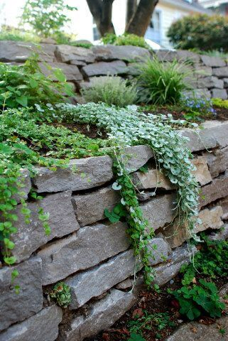 Stone Wall 