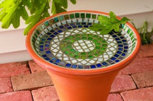 A Mosaic Bath for Birds