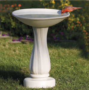 A Warm-Heater Birdbath