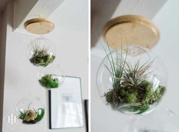 Bowl Hanging Glass Terrarium